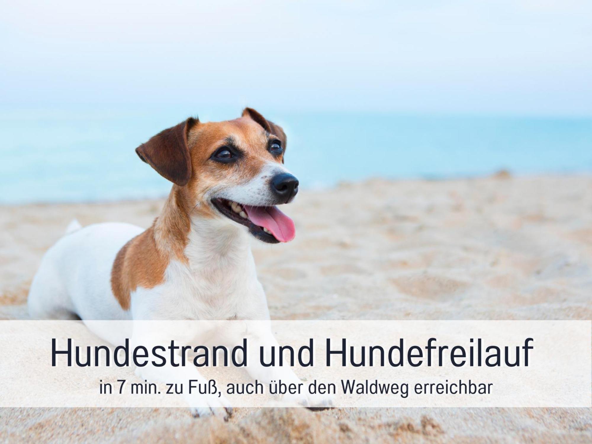 Strandloft Cuxhaven Im Haus Frauenpreiss Sahlenburg - Strandnah - 2 Hunde Willkommen -Schwimmbad - Sauna - Direkt Am Wald - Dachterrasse Mit Blick Nach Neuwerk 外观 照片